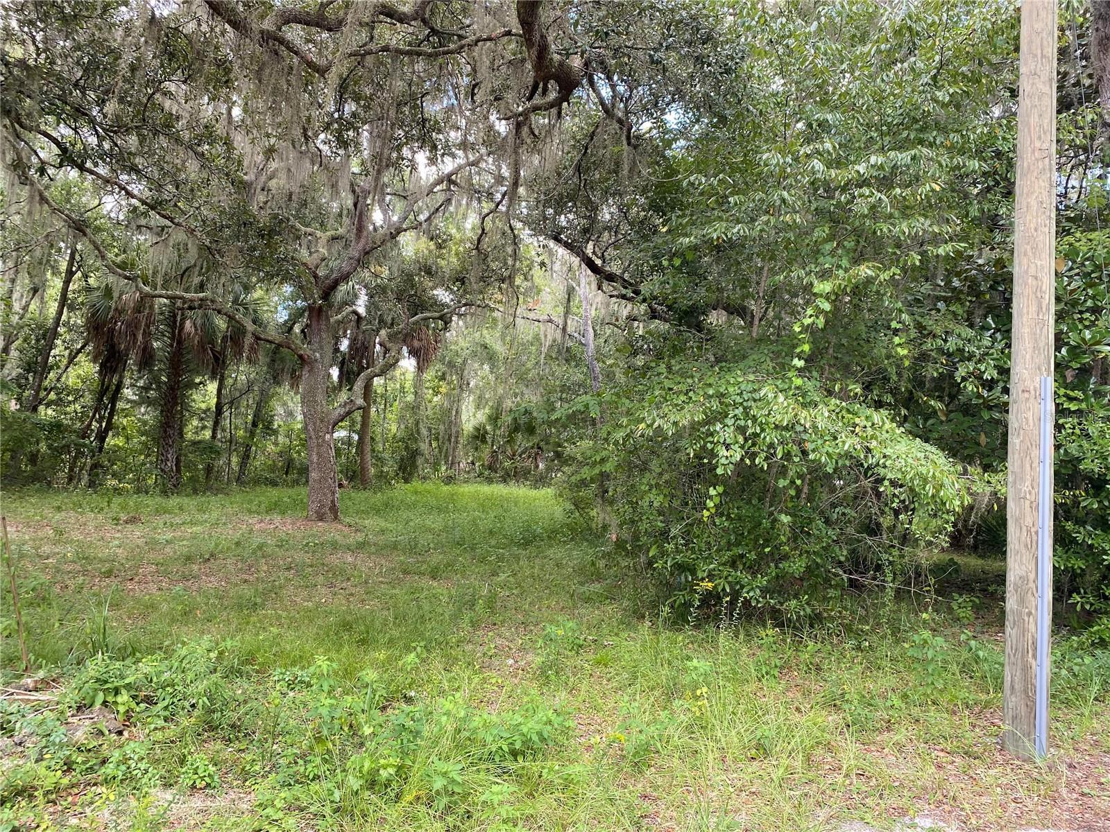 CR 448C, LAKE PANASOFFKEE, Land,  for sale, Natalie Amento, PA, Florida Realty Investments